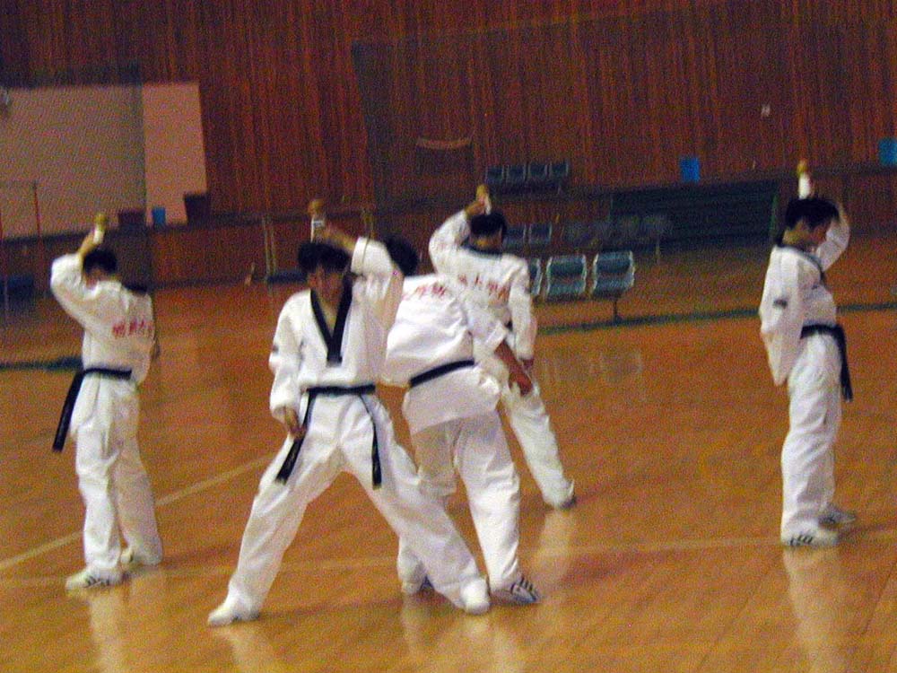 058_tkd_demo